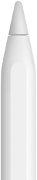 An Apple Pencil showing the tip of the device