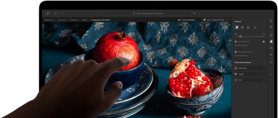 MacBook Pro with PROLED XDR Display with a still life image of pomegranates with blue ceramics and textiles, a hand reaches towards the screen to interact with the art
