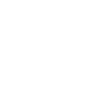 ditto-logo