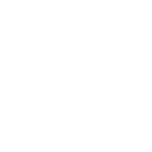 STM-logo-300x300