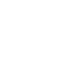 zagg-logo-300x300