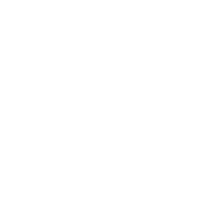 max-cases-bett-partner